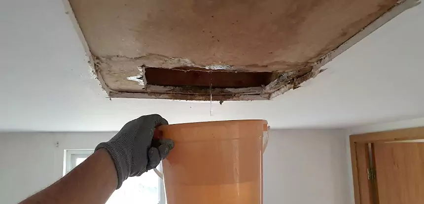 Ceiling Mold Repair Esom Hill 